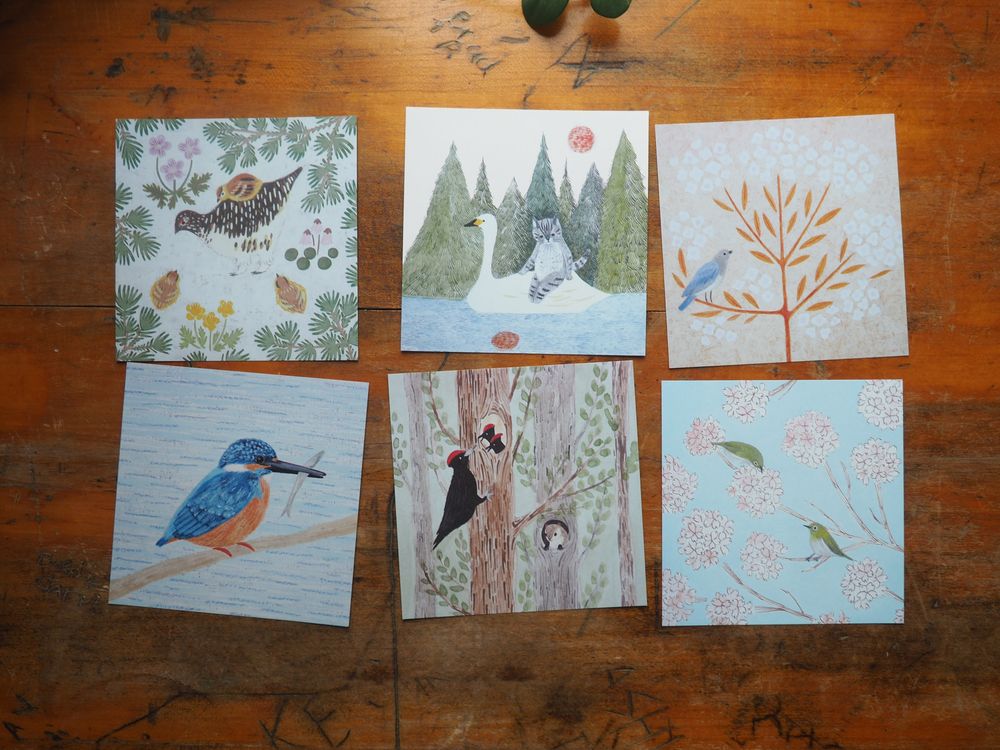 4legs - Memo Pad - Wild Birds - 14 Designs (98 Sheets) - Image 2