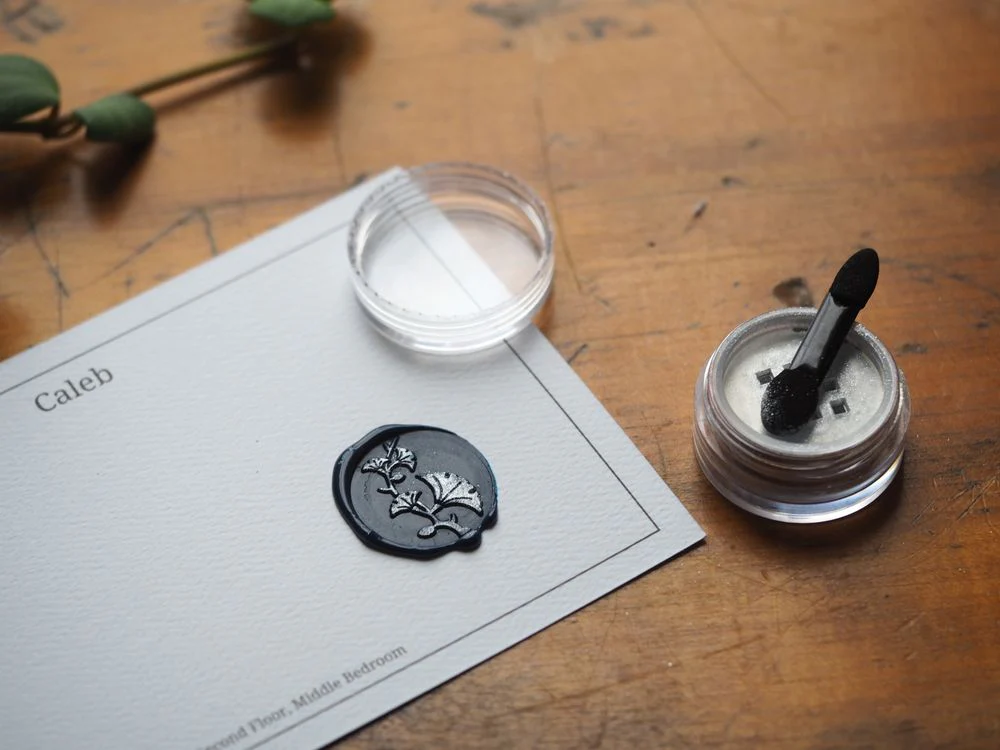 Backtozero - Metallic Highlight Powder - Silver