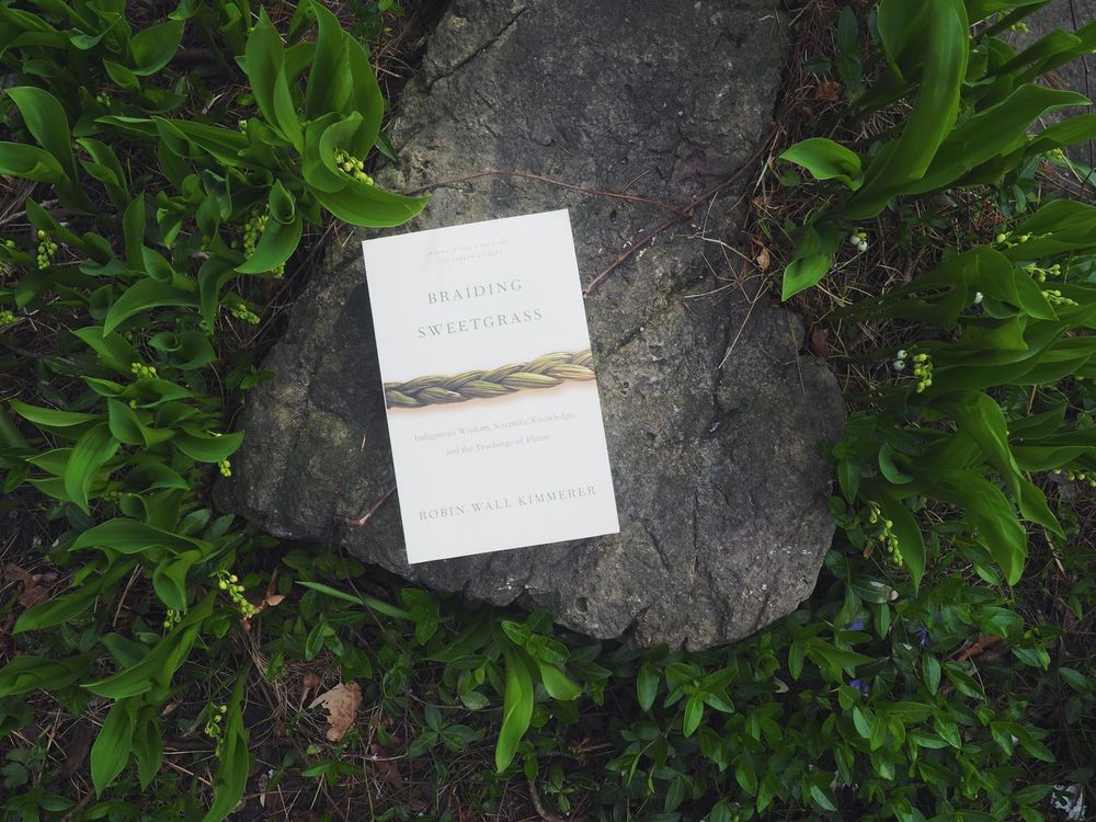 Braiding Sweetgrass by Robin Wall Kimmerer