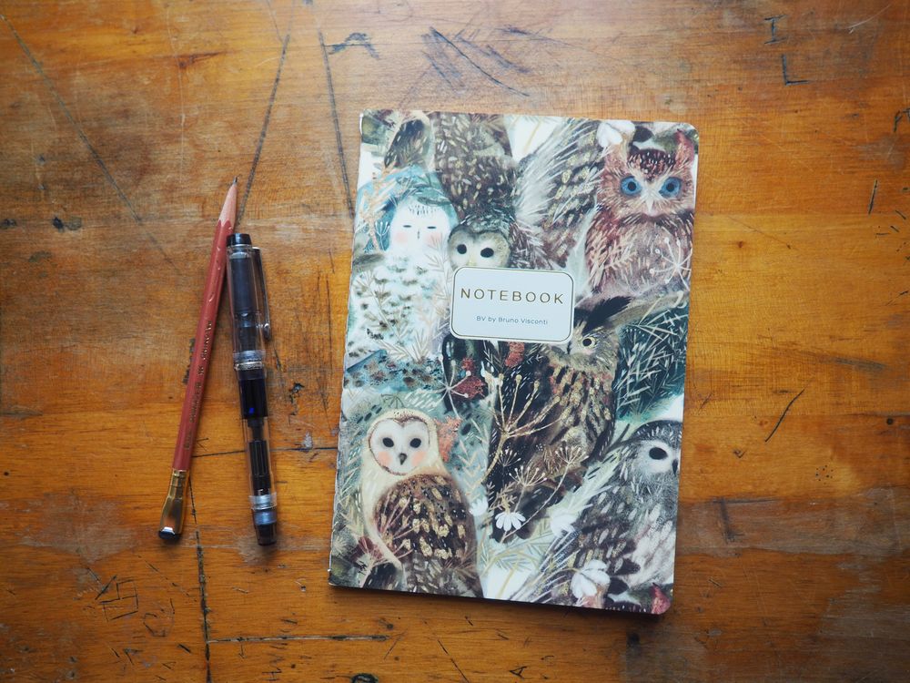 Bruno Visconti - Notebook - A5 Lined - Owls
