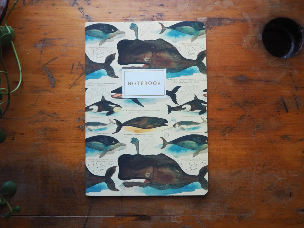 Bruno Visconti - Notebook - A5 Lined - Whales
