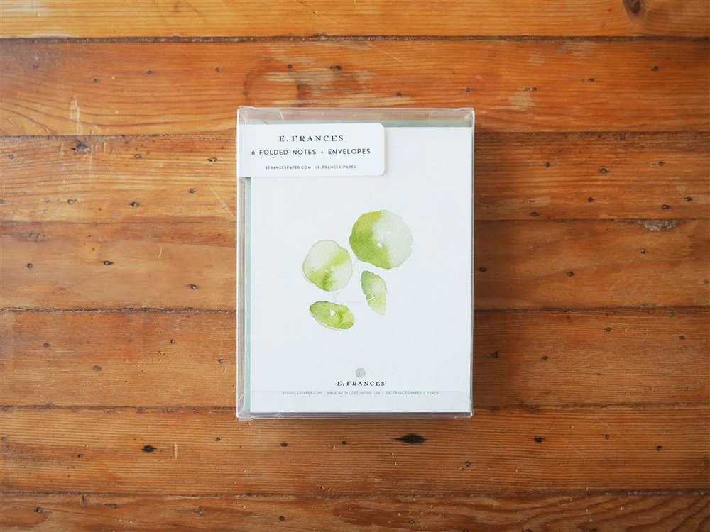 E. Frances Paper - 6 Boxed Card Set - Pancake Plant Thank You - Image 2