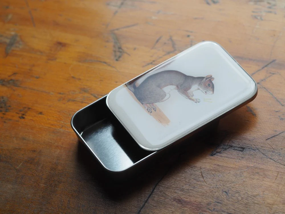 Firefly Notes - Tin - Yarn Squirrel - Image 2
