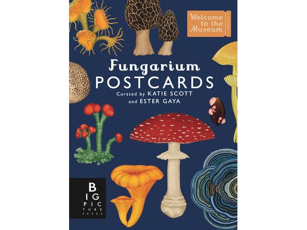 Fungarium Postcard Box Set