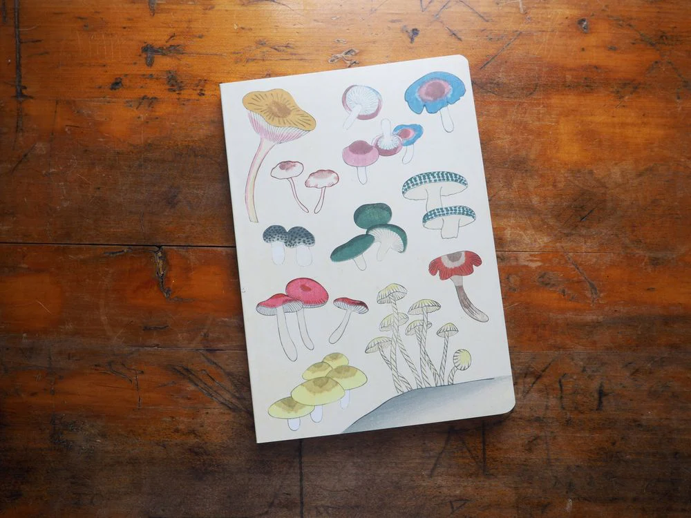 Healing Mushrooms Lined Paperback Journal