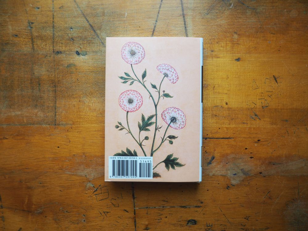 Letters: Emily Dickinson - Image 2
