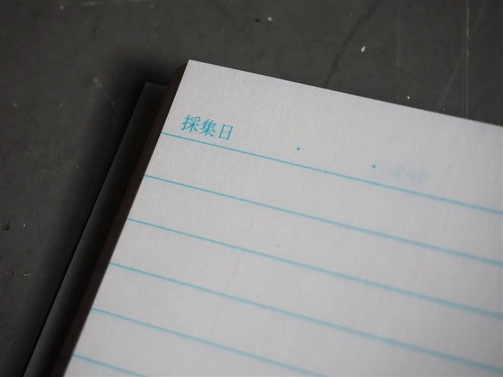 Life Japanese Stationery Blue Kyupodo A5 Notebook - Lined - Image 6
