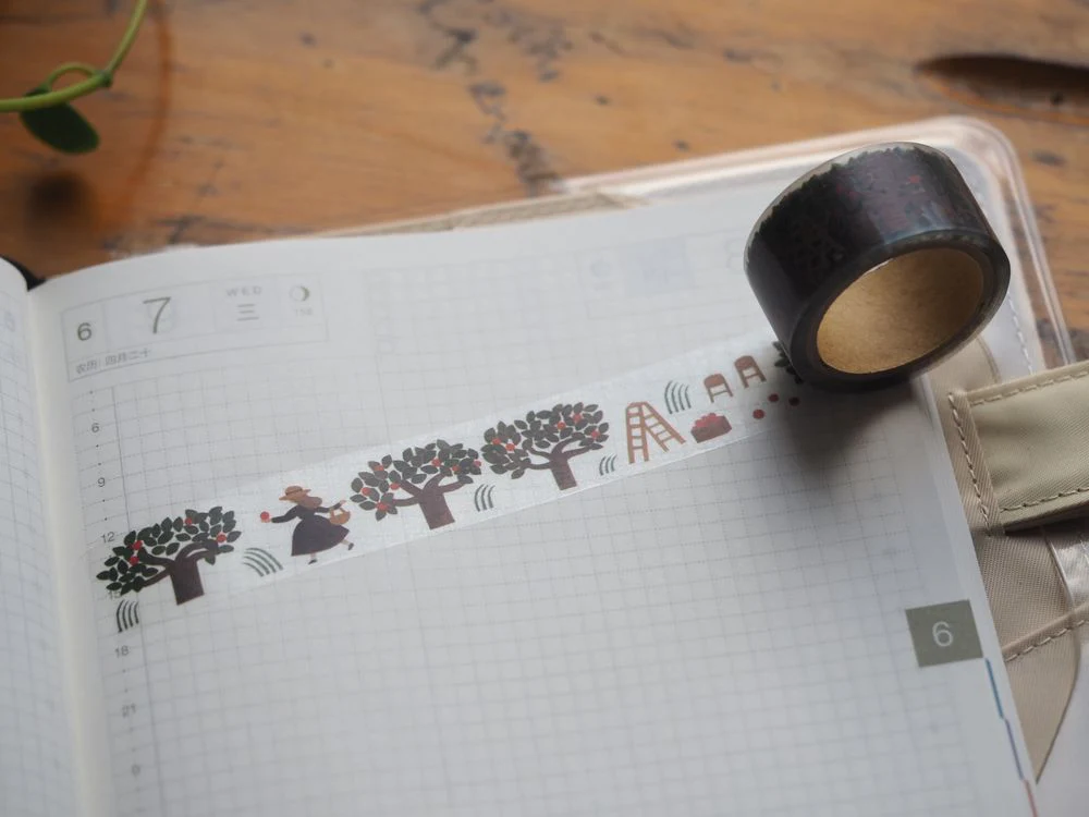 Washi Tape - cozyca Apple Orchard (22-748)