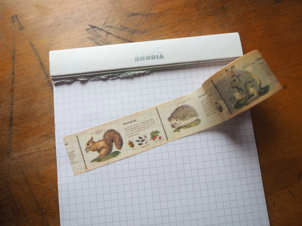MT Washi Tape - Animal Information (MTEX1P36R)
