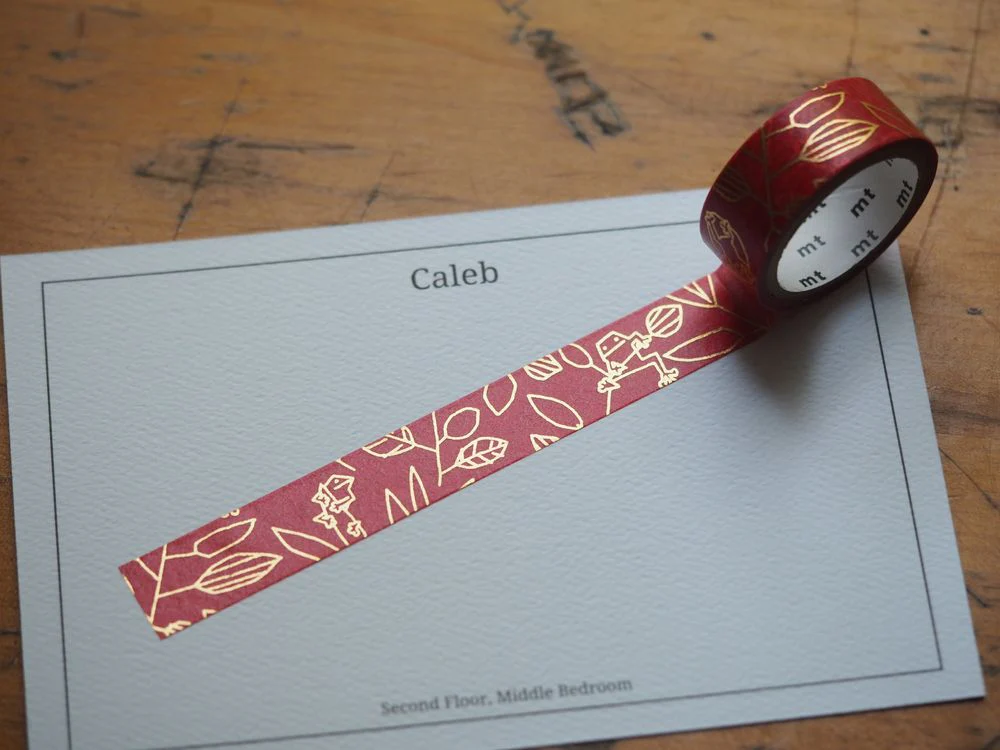 MT x OTTAIPNU Washi Tape - Amagaeru (MTOTTA09)