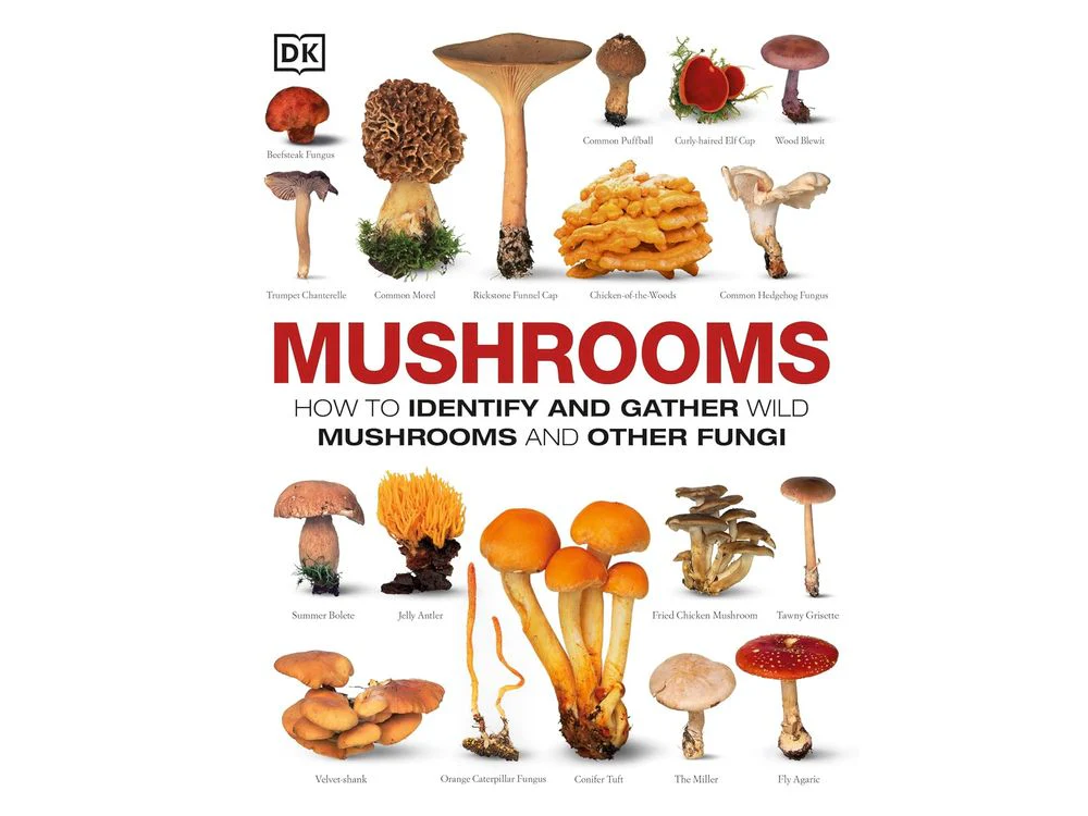 Mushrooms: How to Identify and Gather Wild Mushrooms and Other by DK