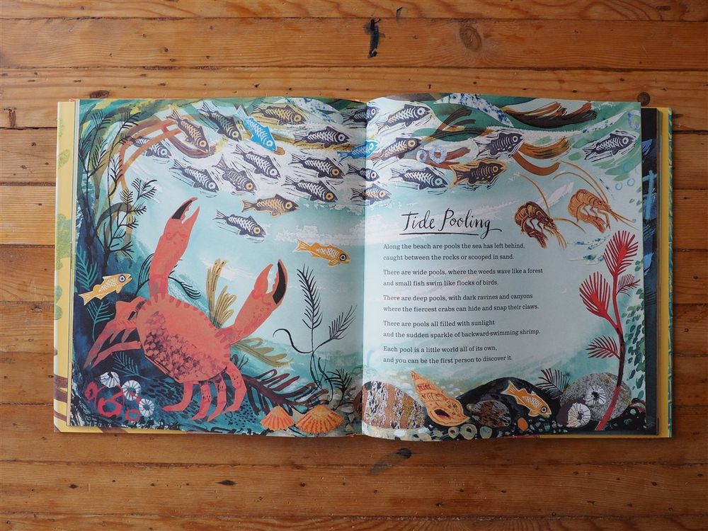 Outside Your Window: A First Book of Nature by Nicola Davies - Image 5