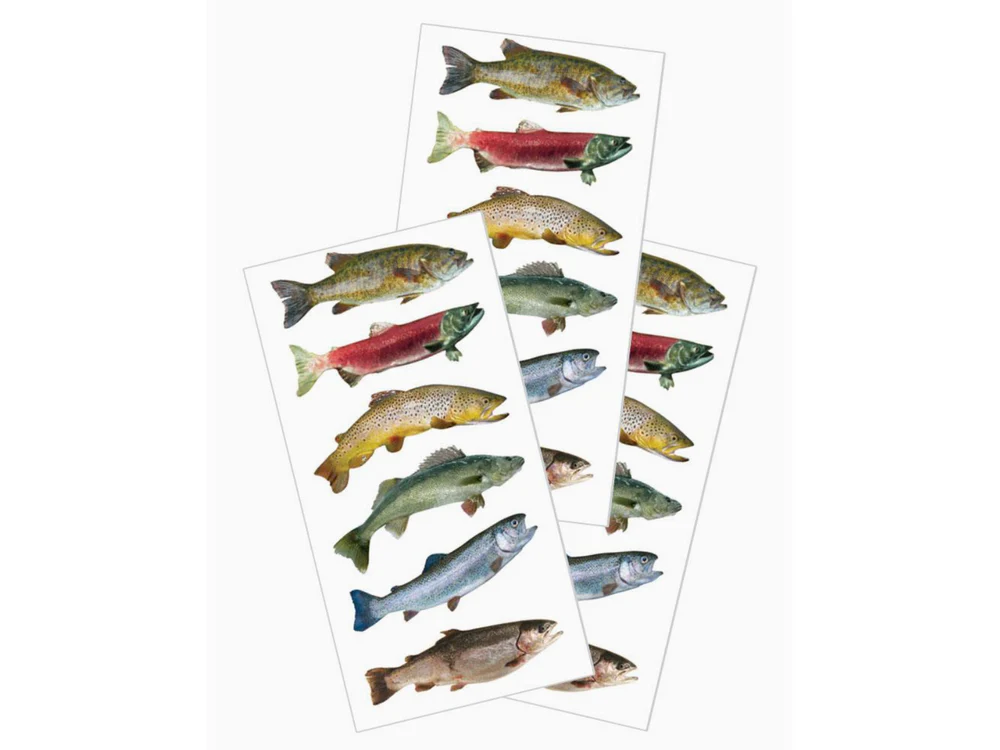 Paper House Productions - Sticker Sheet - Freshwater Fish