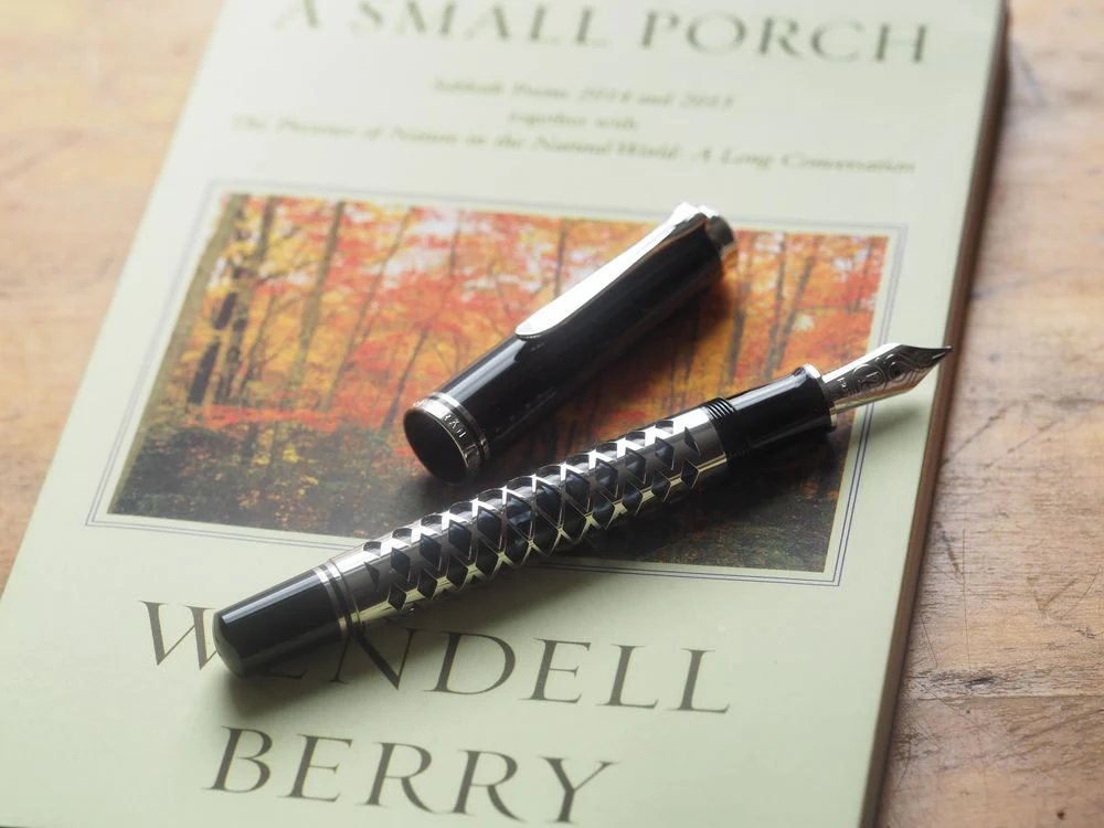 Pelikan SouverÀn M805 Fountain Pen - Metal Sleeve