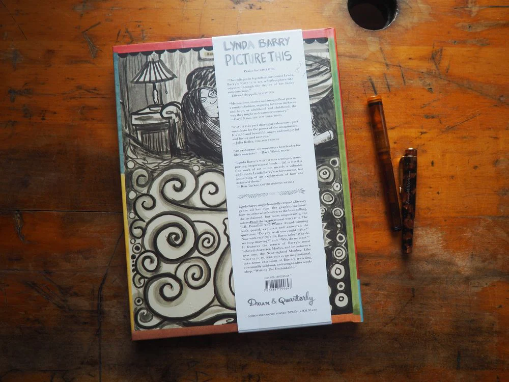 Picture This: The Near-sighted Monkey Book by Lynda Barry - Image 5