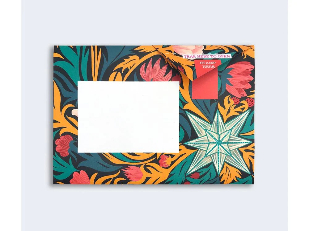 Pigeon - Correspondence Paper - 6 Sheets - Bright & Beautiful Pigeons Pack - Image 6