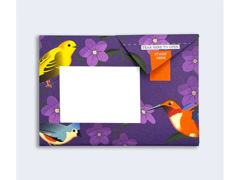 Pigeon - Correspondence Paper - 6 Sheets - Carnival of Colour - Image 3