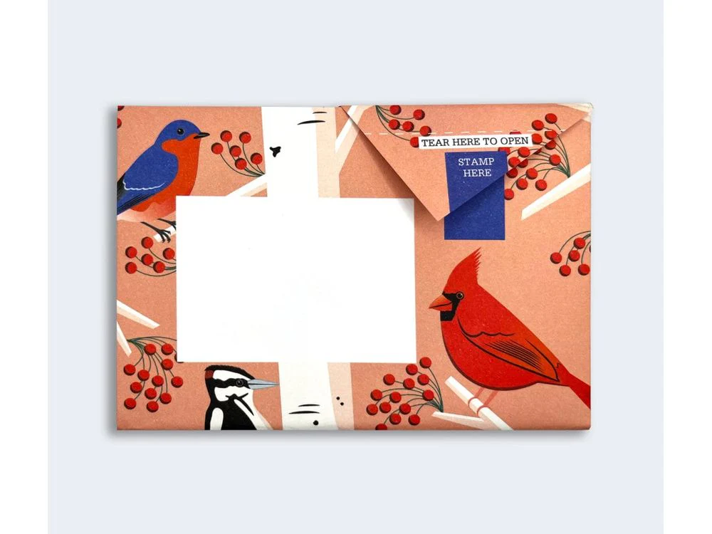 Pigeon - Correspondence Paper - 6 Sheets - Carnival of Colour - Image 4