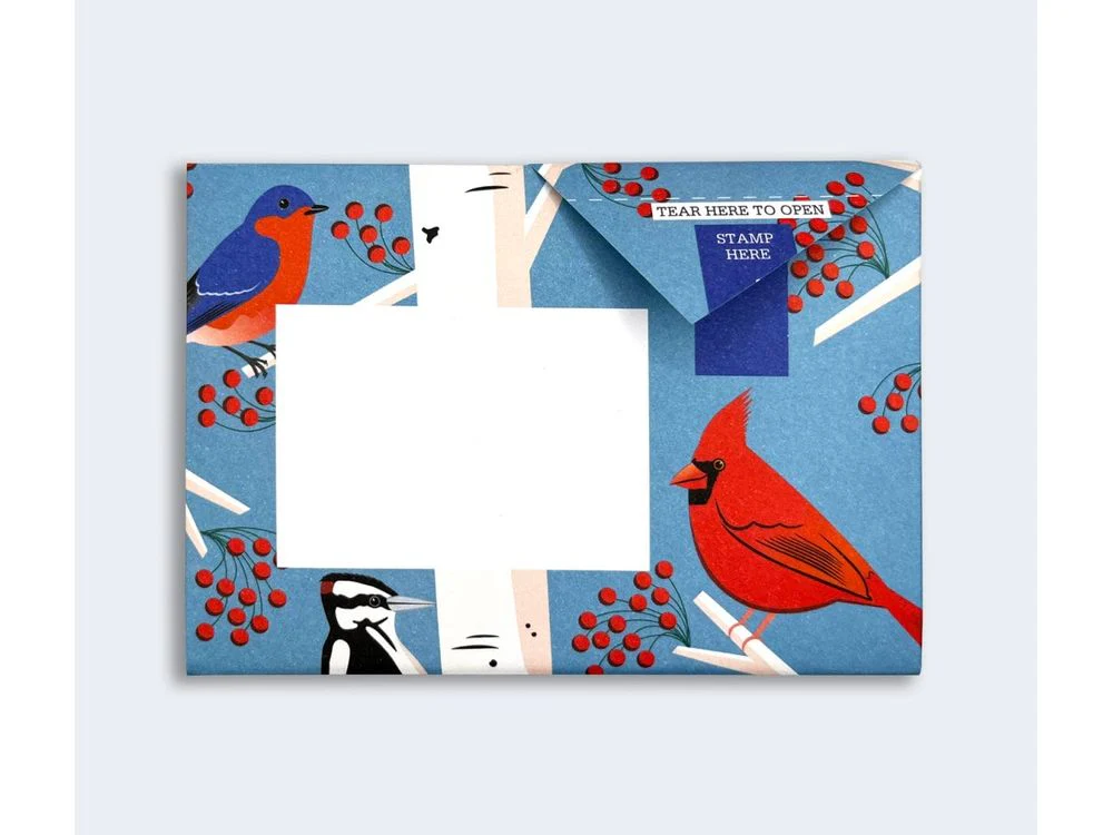 Pigeon - Correspondence Paper - 6 Sheets - Carnival of Colour - Image 5