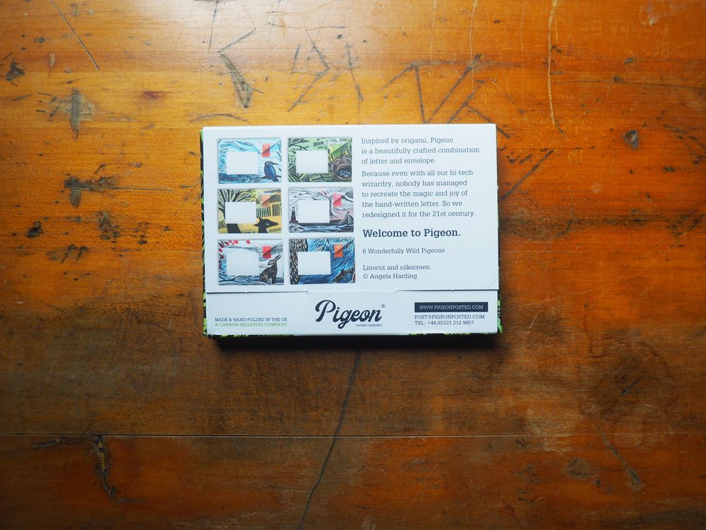 Pigeon - Correspondence Paper - 6 Sheets - Wonderfully Wild Pigeon Pack - Image 2