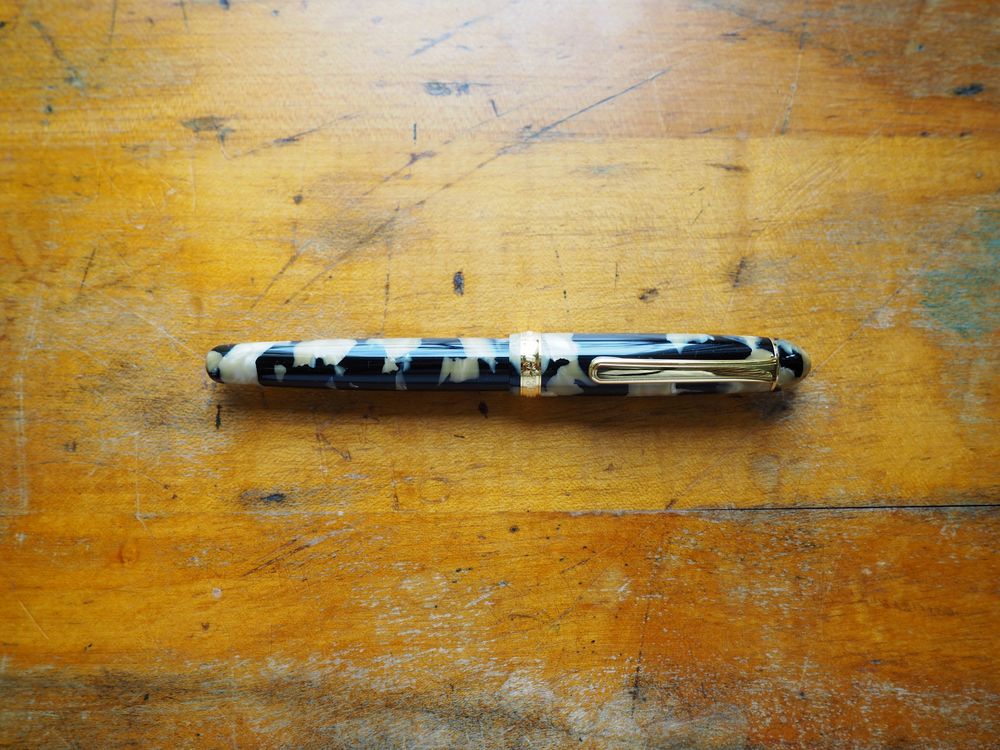 Platinum 3776 Century - Celluloid - Calico