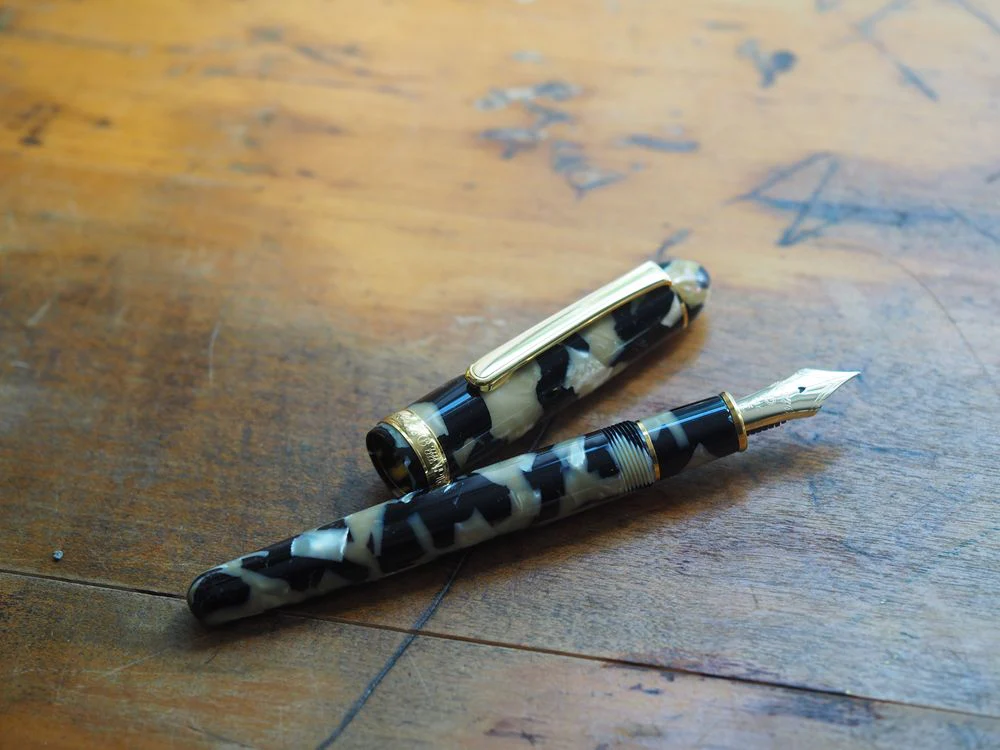Platinum 3776 Century - Celluloid - Calico - Image 6