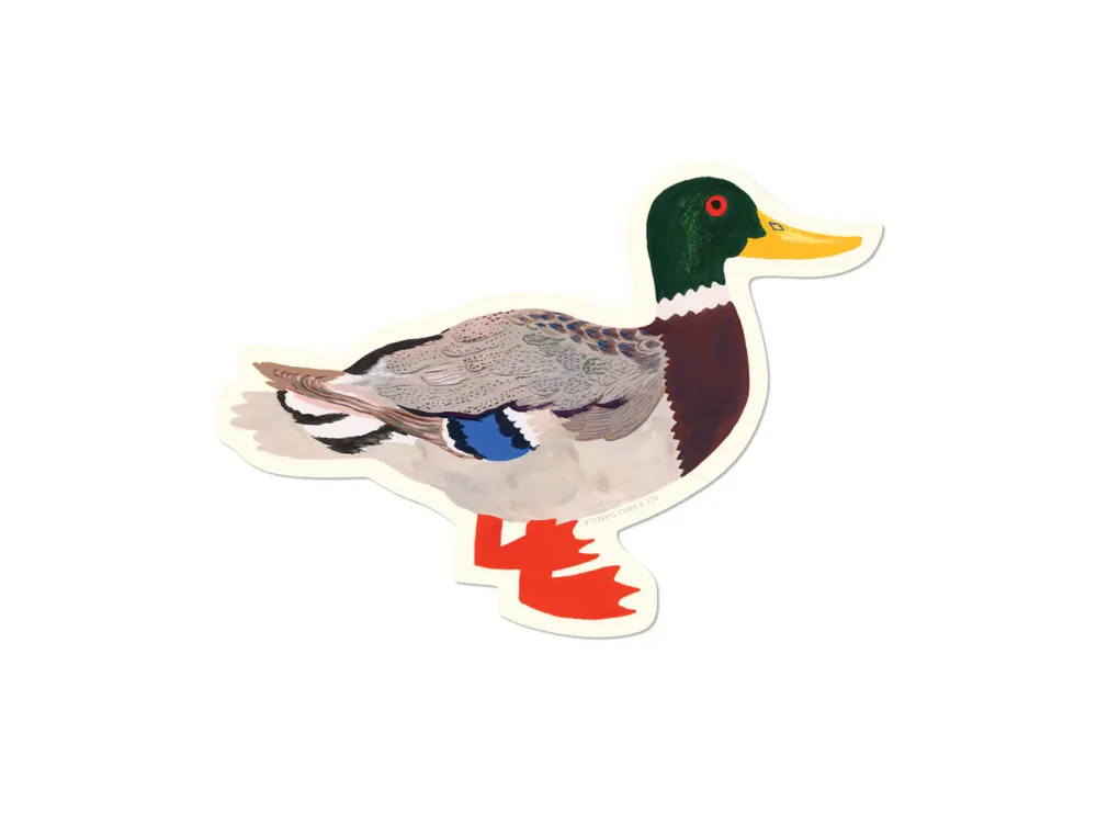 Red Cap Cards - Sticker - Mallard