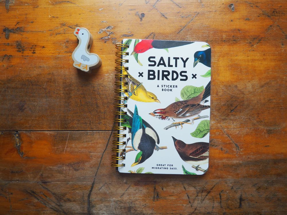 Salty Birds Sticker Book