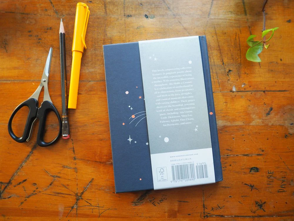 She Holds a Cosmos: Poems on Motherhood - Image 4