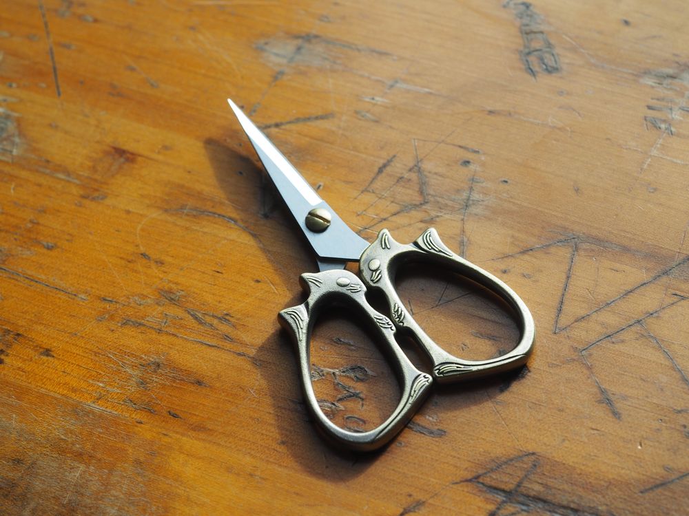 Squirrel Scissors