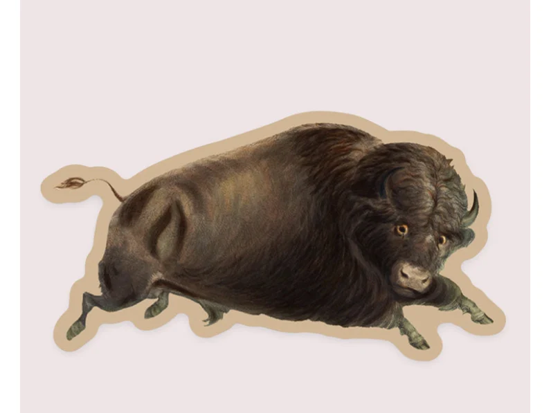 Stay Home Club - Sticker - Bitter Buffalo