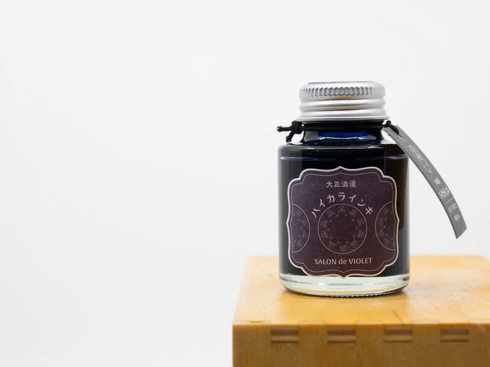 Teranishi Taisho Roman - Fountain Pen Ink (40mL) - Salon de Violette