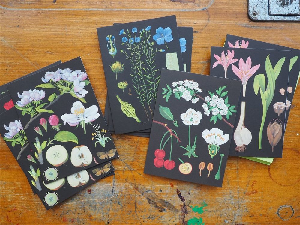 The Art of Instruction - 16 Correspondence Cards & Envelopes - Image 3