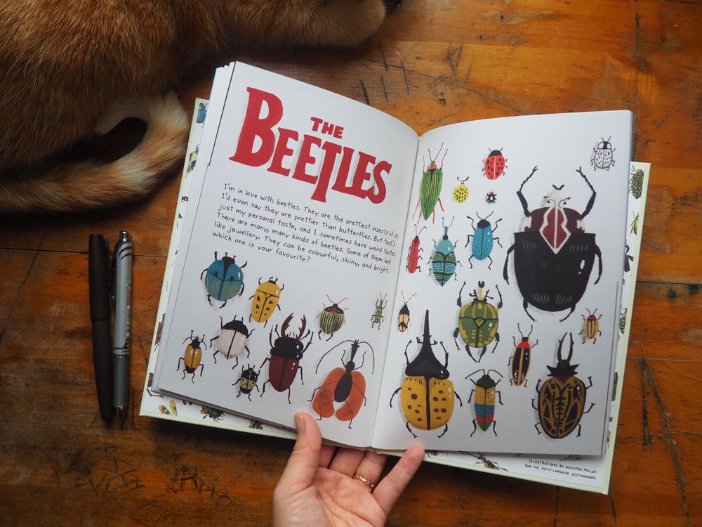 The Bug Club by Elise Gravel - Image 3