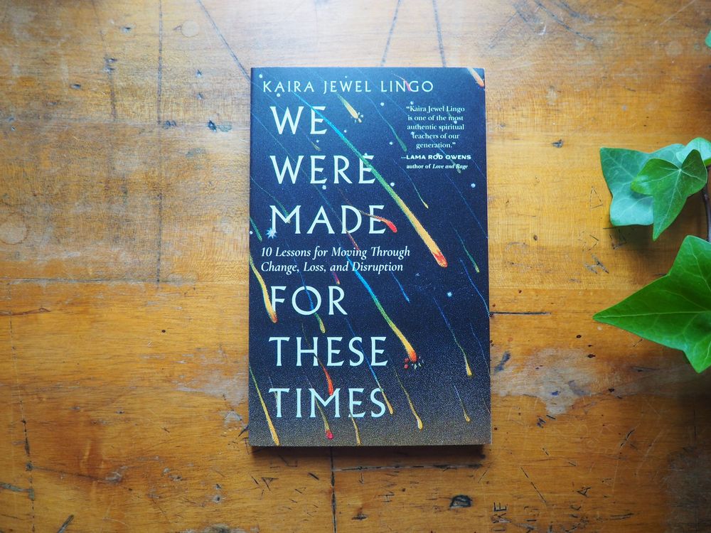 We Were Made for These Times: Ten Lessons on Moving Through Change, Loss, and Disruption by Kaira Jewel Lingo