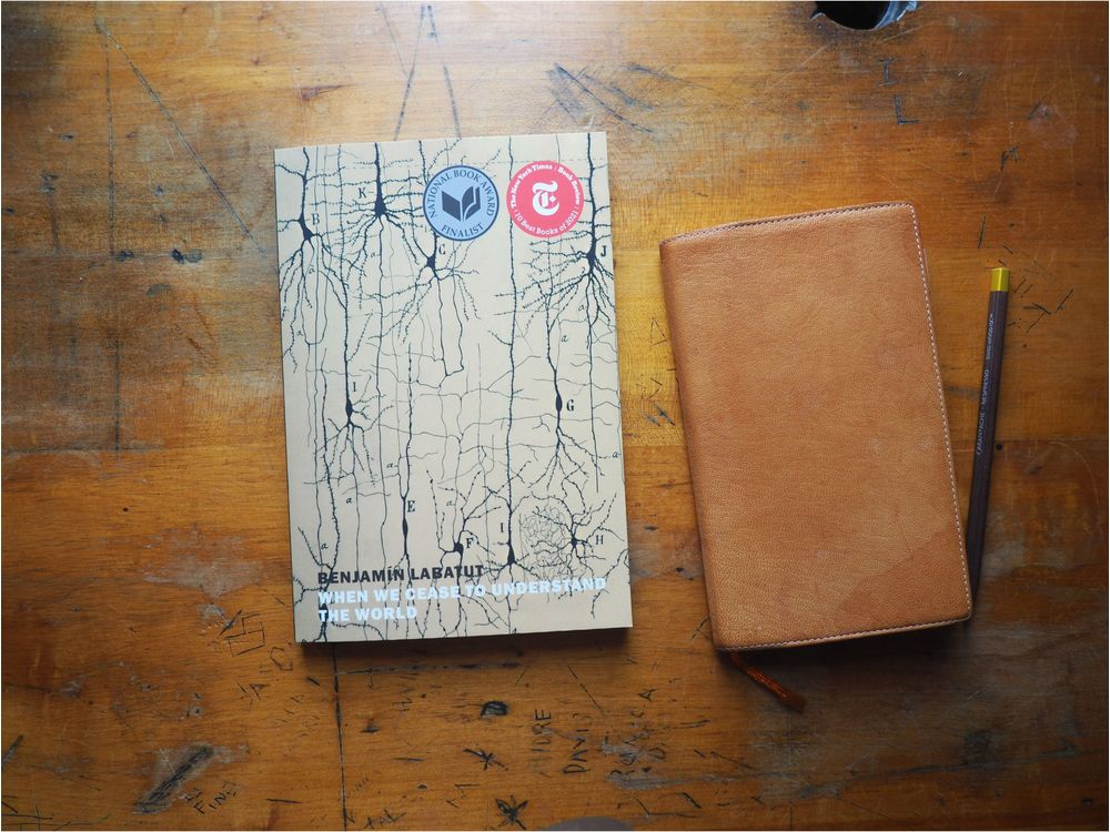 When We Cease to Understand the World by Benjamin Labatut